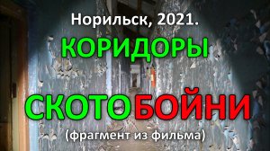 Заброшенная Скотобойня. Коридор. Норильск (2021)