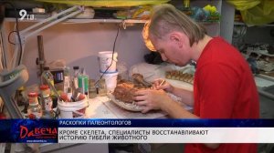 Раскопки палеонтологов