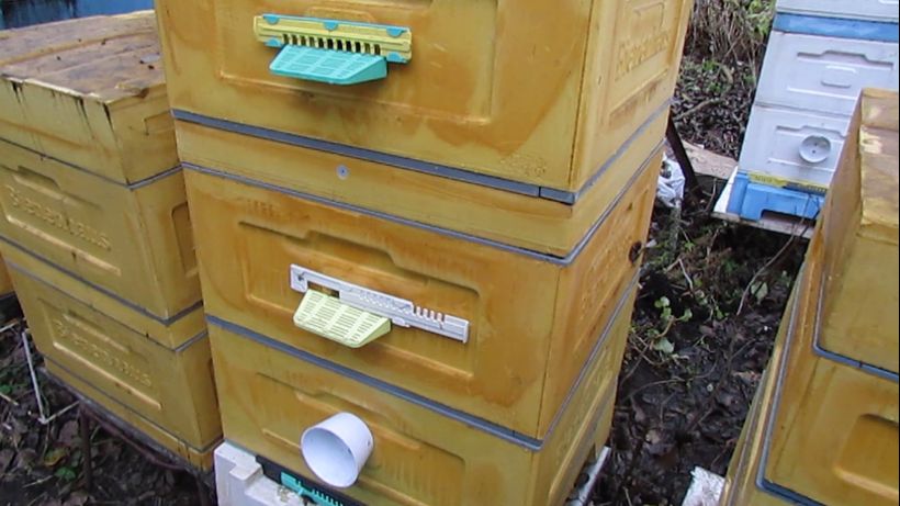 12 рамочный улей с пчелами в ноябре, пополнение кормов, контрольная обработка от клеща.