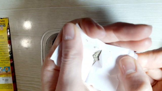 Маргаритки Посев Всходы на 3й день! смотреть онлайн