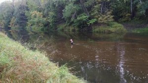 Брод мериново