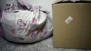 Как хранить мох?