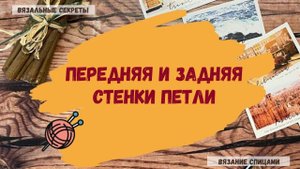 Передняя стенка петли. Задняя стенка петли.
