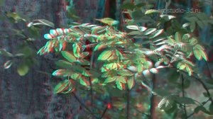 Landscape 3D anaglyph