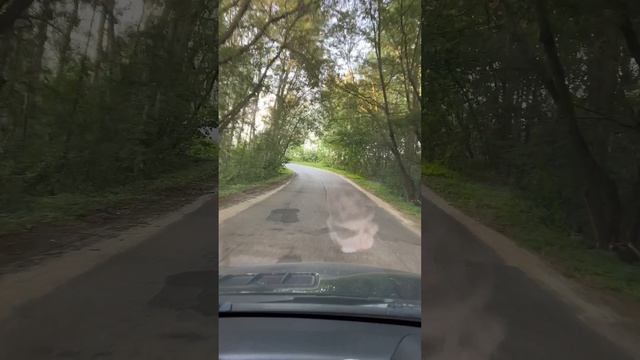 ???? смотреть онлайн