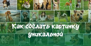 Как сделать картинку уникальной