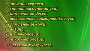 Каланхоэ – домашний доктор!  Целительные свойства, лечение болезней. Рецепты народной медицины.