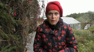 Что нужно сделать осенью со смородиной и крыжовником