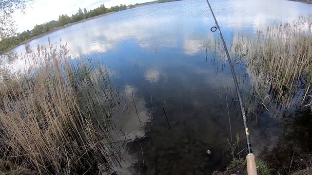 РЫБАЛКА.ЛОВЛЯ КРУПНОЙ ПЛОТВЫ И УКЛЕЙКИ НА ФИДЕР смотреть онлайн