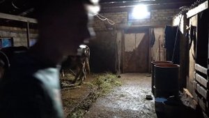 ПРЯЧЕМСЯ НА ФЕРМЕ ОТ СУМАСШЕДШЕГО ФЕРМЕРА С ГОЛОВОЙ СВИНЬИ. ПСИХ НА ФЕРМЕ ОХОТИТСЯ НА НАС НОЧЬЮ