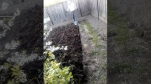 Лопата для пенсионеров по мотивам отца Геннадия