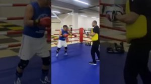 Караганда стучит по лапам.