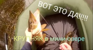 БОЛЬШИЕ ЩУКИ В МАЛЕНЬКОМ ОЗЕРЦЕ 2.#11