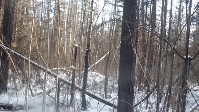 Осенняя Охота. р Бакчинский. Восточная Сибирь. Иркутская обл. 6 ноября 2017 г. смотреть онлайн