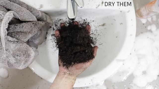 How To Properly Wash Your Hands