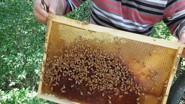 4 сентября. Как Кордован ИО готовится к зиме. смотреть онлайн