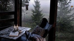relax calm forest rainy jazz 1hour