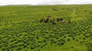 Плато Бермамыт. Высота 2600