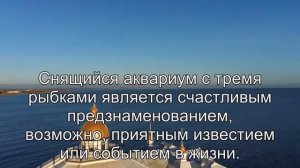 К чему снится Аквариумная рыбка? Толкование сна по сонникам Ванги и Хассе