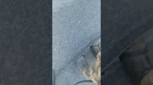 Икопал Соло плавление швов