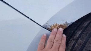 Skoda Rapid 2014 Г 1.2 л / 75 л.с. / МКПП