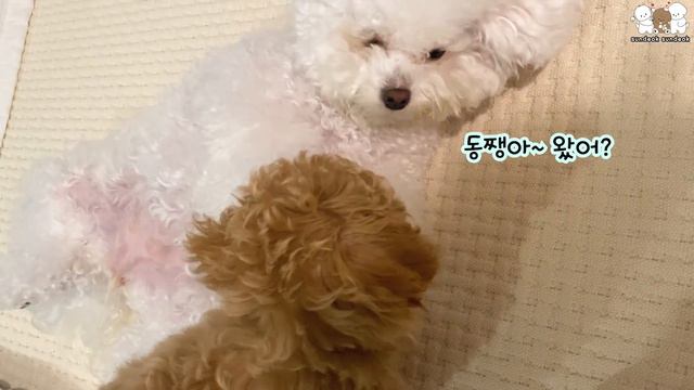 아가야.. 잠 좀 자렴..!!