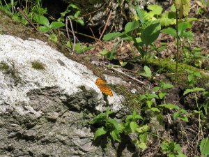 Моя Россия-.mp4