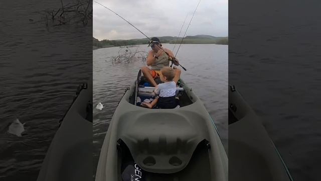 Mini Clown and his Dad catching Perch