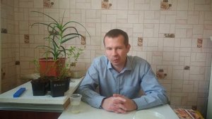 ГОЛУБИКА ПОСАДКА И УХОД. Сера как подкормка для голубики и подкислитель почвы,где её найти