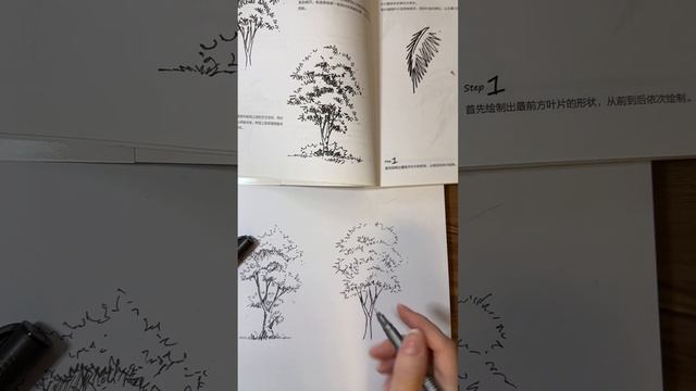 Пошаговый урок по рисованию дерева