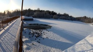 НИЖНЕ-ИВКИНО 2023 (4К)