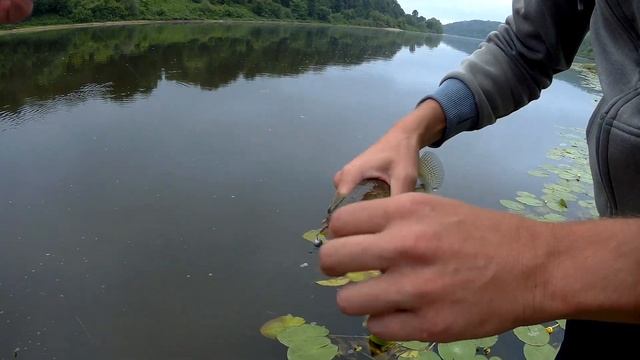 Рыбалка на реке ока спиннингом в июне 15.06.19 смотреть онлайн