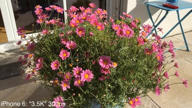 4K Test iPhone 6 & Panasonic LX100 смотреть онлайн