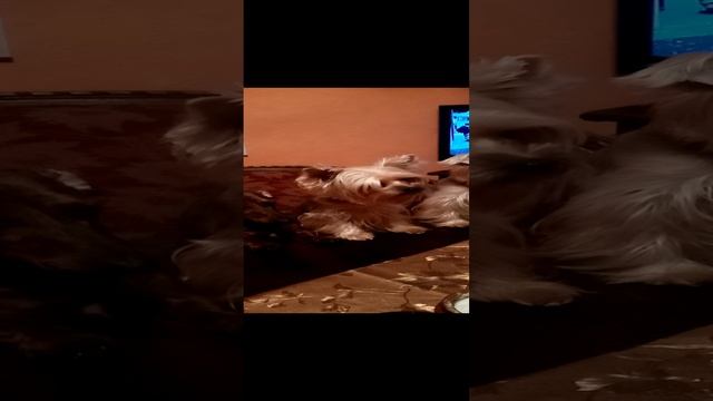 мы пришли обедать