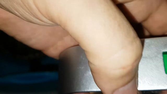 Взвешивание и обмер черепах смотреть онлайн