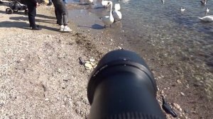 Tamron 18-250mm A18 adapted on Sony NEX 6 - Impressive results