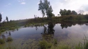 Видеоотчет о ловле щуки в траве  на джеркбейты с берега