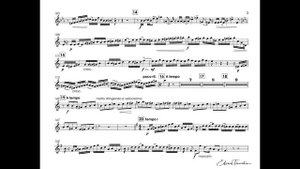 V.Peskin - Concert Allegro for Trumpet & Piano - T.Dokshizer trumpet Bb
