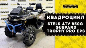 Квадроцикл Stels ATV 850G Guepard Trophy PRO EPS CVTech