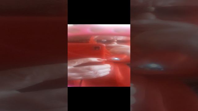 20240420_113617.mp4