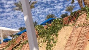 GRAND OASIS RESORT 4*+ Sharm El Sheikh