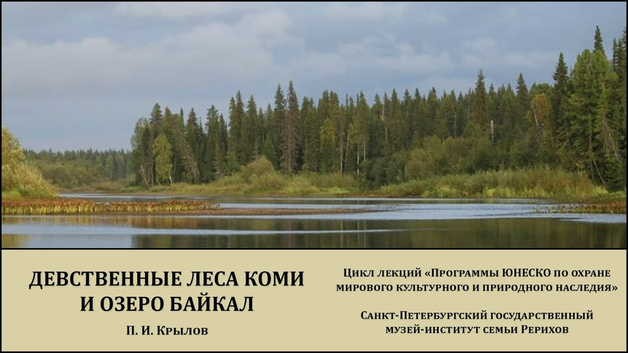 Лекция "Всемирное наследие: девственные леса Коми и озеро Байкал"