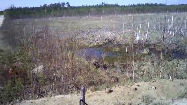 Урай Медведь смотреть онлайн