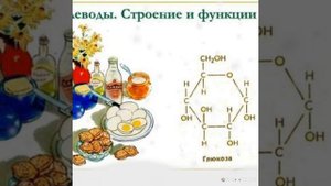 Органические вещества белки жиры углеводы липиды атф