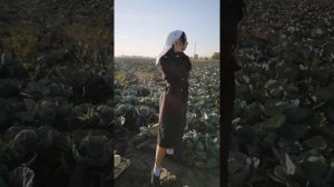 Бомбическая стильная фотосессия в капусте.