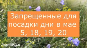 Лунный посевной календарь на МАЙ 2023. Благоприятные дни для посева #лунныйпосевнойкалендарь