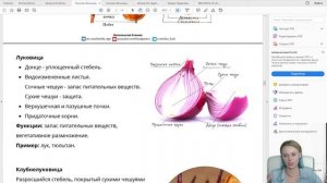 Вся ботаника за 60 минут | Ксения Напольская | ЕГЭ по Биологии