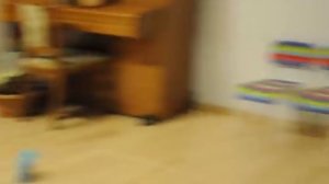 Сказка "Репка", детский сад "Матрешка".