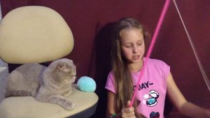 Как сделать игрушки для кошки .