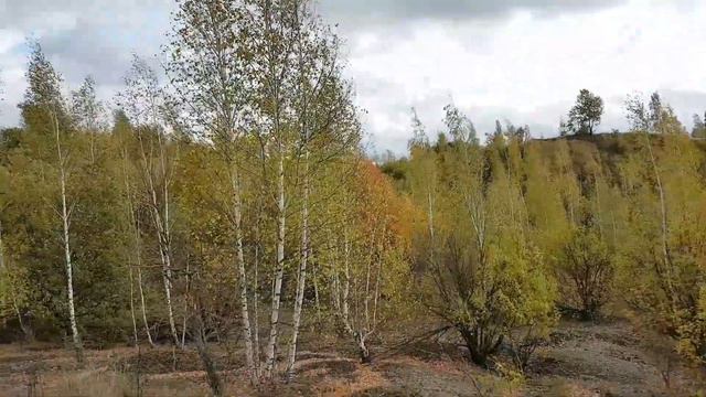 Турдей